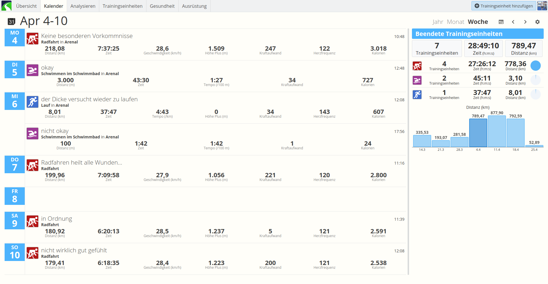 Trainingsplan Ironman Frankfurt