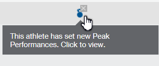 Halbmarathon Frankfurt: Peak Performance